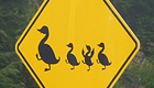 Oregon road signs are memorable